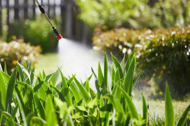 Tamper-Resistant Bait Stations for Rodents in Wrightsville