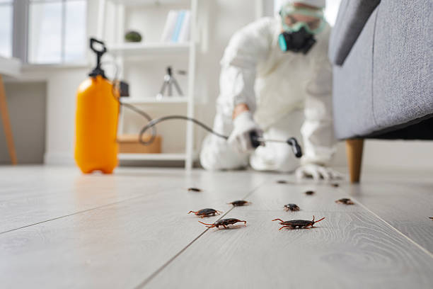 Commercial Rodent Management in Wrightsville